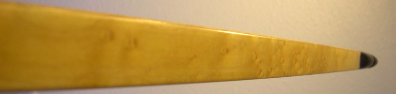 Upper Limb (Detail)